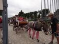 fete 2015 (83).JPG